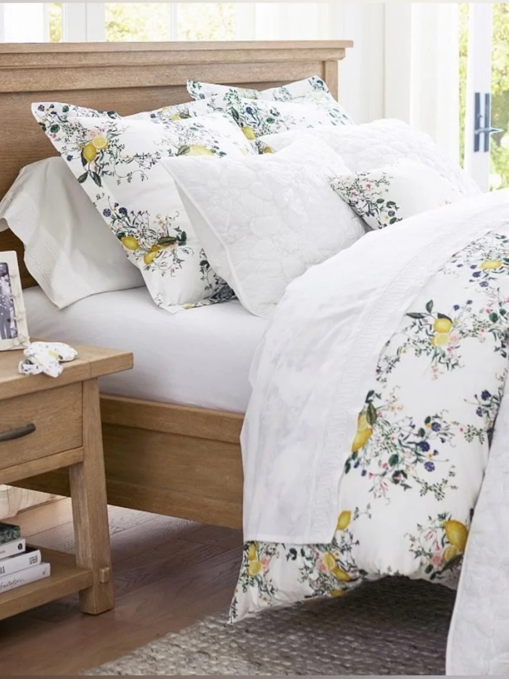 Monique Lhuillier Positano Percale Euro Sham Pottery Barn
